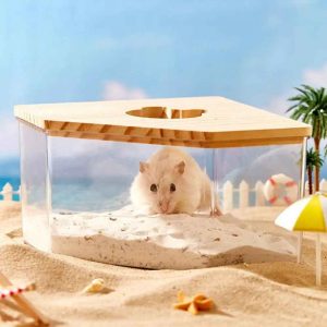 Hamster Sand Bath, Pentagon Hamster Sand Bath Container with Climbing Ladder, Large Acrylic Hamster Dig Box with Wood Cover, Sand Bath for Hamsters Small Animals